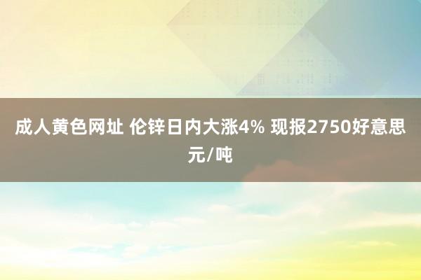 成人黄色网址 伦锌日内大涨4% 现报2750好意思元/吨