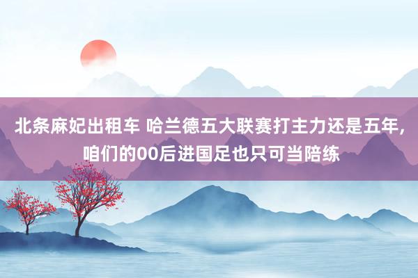 北条麻妃出租车 哈兰德五大联赛打主力还是五年， 咱们的00后进国足也只可当陪练