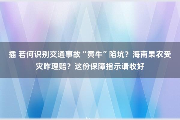 插 若何识别交通事故“黄牛”陷坑？海南果农受灾咋理赔？这份保障指示请收好
