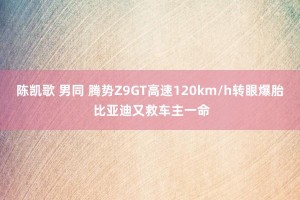 陈凯歌 男同 腾势Z9GT高速120km/h转眼爆胎 比亚迪又救车主一命