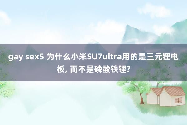 gay sex5 为什么小米SU7ultra用的是三元锂电板， 而不是磷酸铁锂?