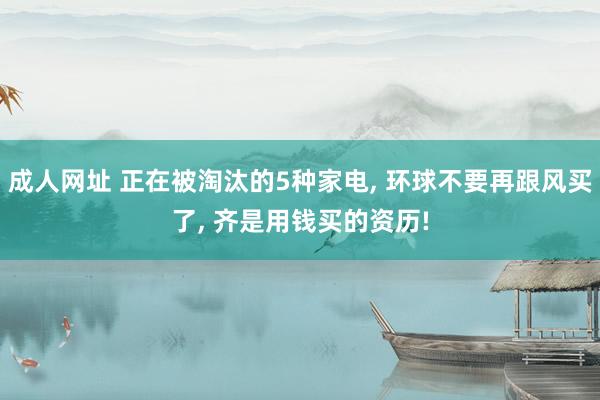 成人网址 正在被淘汰的5种家电， 环球不要再跟风买了， 齐是用钱买的资历!