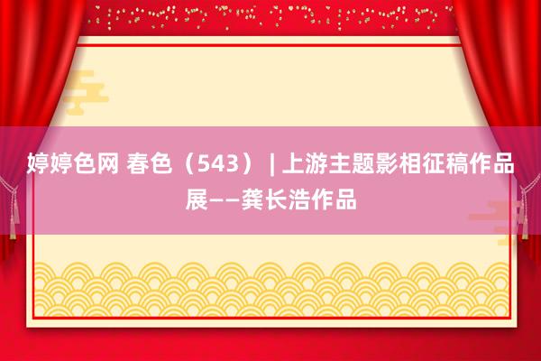 婷婷色网 春色（543） | 上游主题影相征稿作品展——龚长浩作品