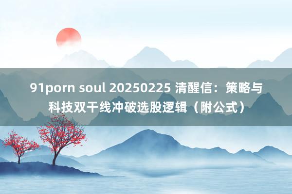 91porn soul 20250225 清醒信：策略与科技双干线冲破选股逻辑（附公式）